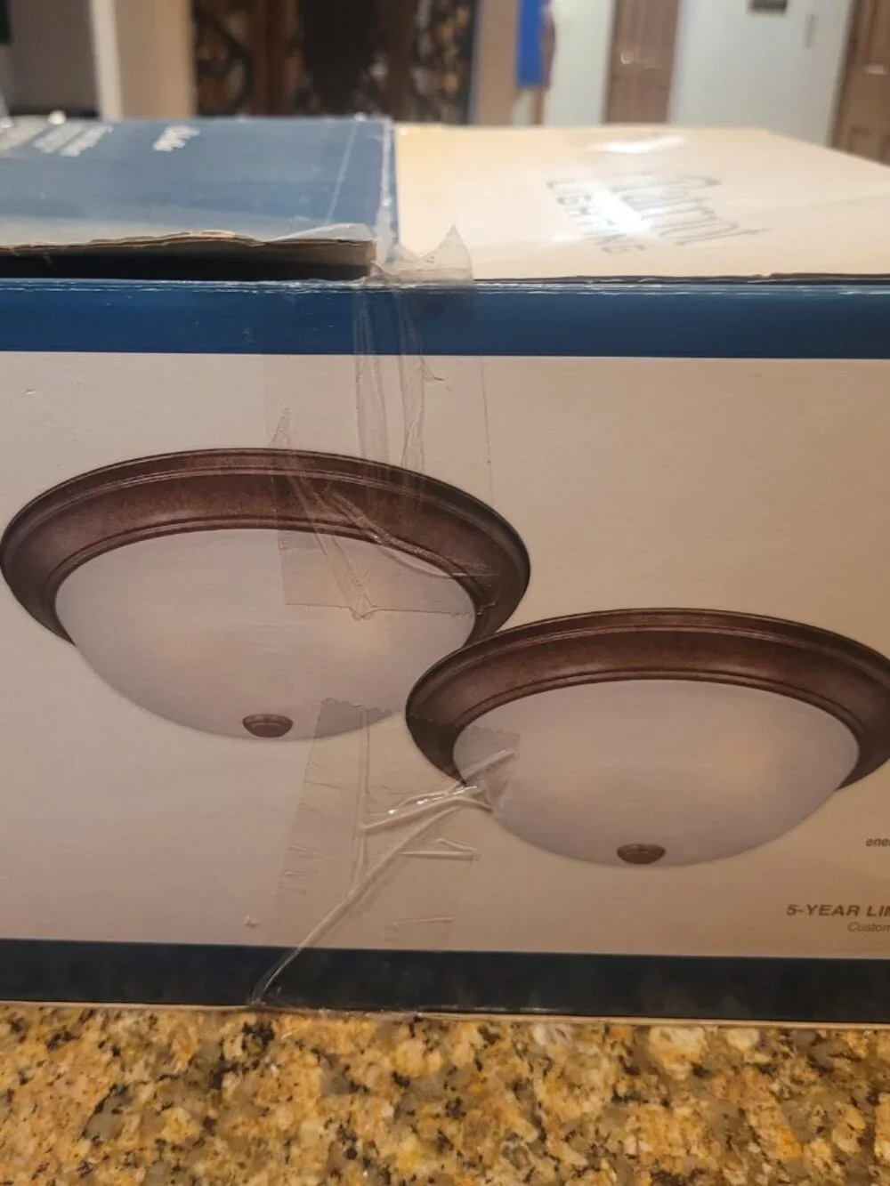 Patriot Flush Mount set of 2  15